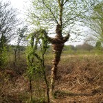 IMG_4663-work-on-heath_web