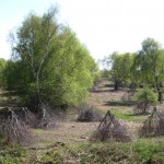 brushwithnature1_web