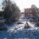 brushwithnature5_web