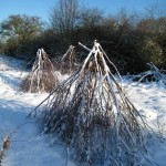 brushwithnature6_web
