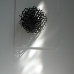 crown-of-thorns-3_web