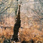 curlew-strip_web