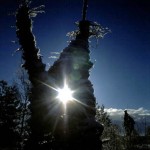 heath sculptures
