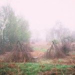 davids-mist_web