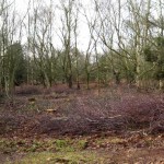 heath-felling-stitch