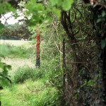 burgh-apton-isis_web