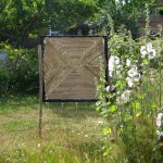 trail-10_web